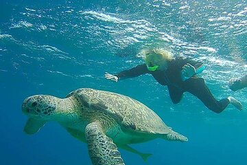 Snorkling Trip To Hamata Islands From Marsa Alam - Image 2