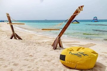 عرض كل الصور