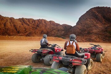 Quad Biking with Camel Ride and Beduin Dinner in Egypt - Image 3