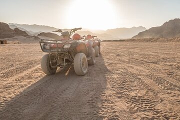 Quad Bike Desert Adventure in Sharm El Sheikh - Image 2