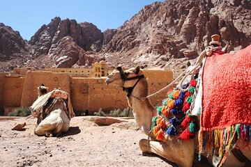 Full-Day Tour Mount Sinai Hike and St Catharine's Monastery - Image 3