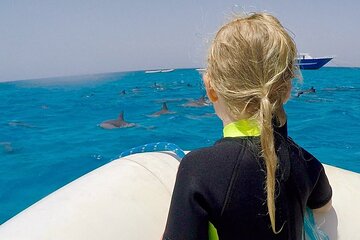 Sataya Dolphin House Snorkel Trip - Marsa Alam - Image 4