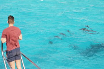 Samadai Dolphin House Snorkel Trip - Marsa Alam - Image 3