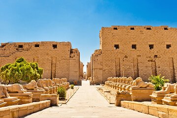 2 Day Trip To Luxor From Marsa Alam with Transfers Accommodation - Image 4