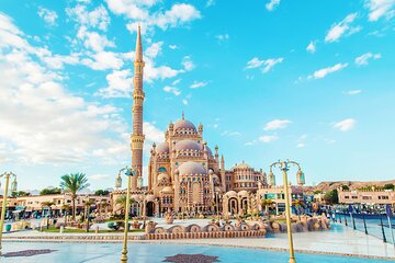 Full Day Private Shore Tour in Sharm from Sharm El-Sheikh Port - Image 1