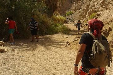 Private Full Day Snorkeling, quad biking In Dahab From Sharm El Sheikh - Image 4