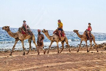Vedi tutte le foto
