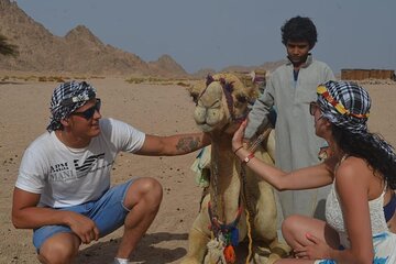 Desert Quad, Jeep, Camel and Buggy Safari with BBQ Dinner - Image 1