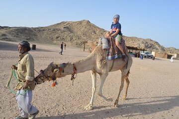Desert Quad, Jeep, Camel and Buggy Safari with BBQ Dinner - Image 3