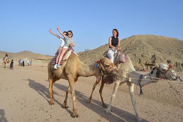 Desert Quad, Jeep, Camel and Buggy Safari with BBQ Dinner - Image 4