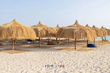 Viva Egypt Full Day Escape to Hula Hula Island from Hurghada - Image 4