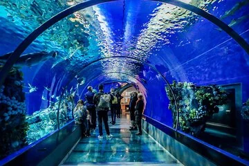 Hurghada Grand Aquarium – Skip the Line
