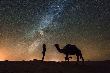 Half-Day Hurghada Stargazing Tour with Pick-Up - Image 2