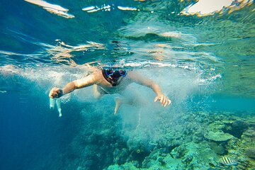 Hurghada: Dolphin Watching Boat Tour with Snorkeling & Lunch - Image 2