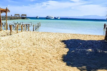 Hurghada: Dolphin Watching Boat Tour with Snorkeling & Lunch - Image 3