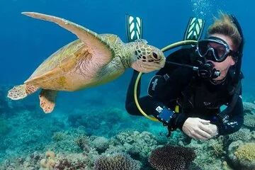 Daily Diving Experience with Lunch Included - Sharm El Sheikh - Image 2