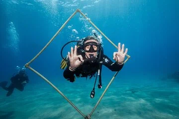 Daily Diving Experience with Lunch Included - Sharm El Sheikh - Image 3