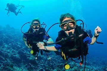 Daily Diving Experience with Lunch Included - Sharm El Sheikh - Image 4