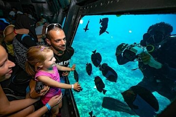 Semi-Submarine Underwater Wonders Await & Transfers - Marsa Alam - Image 4