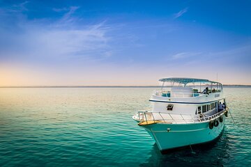 Beginners Scuba Diving Boat Trip With Lunch – Marsa Alam - Image 2