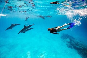 Full Day Dolphin House Boat Trip, Water Sports & Lunch-Hurghada - Image 1