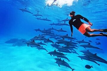 Full Day Dolphin House Boat Trip, Water Sports & Lunch-Hurghada - Image 3