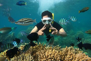 Super Safari, Private Speedboat, Bedouin Show & Transfer-Hurghada - Image 2