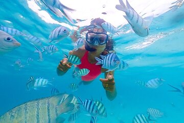 Super Safari, Private Speedboat, Bedouin Show & Transfer-Hurghada - Image 4