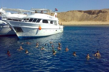 Tiran Island snorkeling trip, Lunch, Transfer - Sharm El Sheikh - Image 3