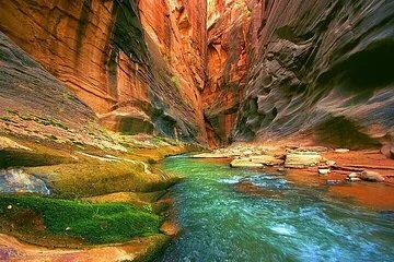 Canyon Salama Jeep, 3 Pools, Snorkeling & Lunch - Sharm El-Sheikh - Image 2