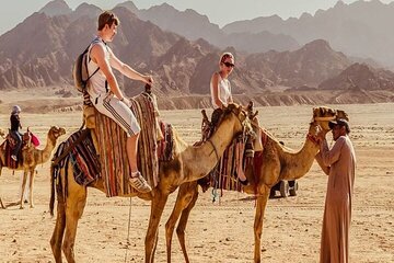 Beduin Village super safari quad with dinner&show from Marsa Alam - Image 1