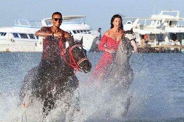 Desert & Sea: 2-Hour Horseback Ride in Hurghada - Image 1