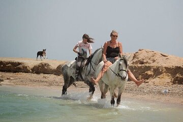 Desert & Sea: 2-Hour Horseback Ride in Hurghada - Image 4