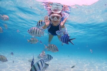 3-Hour Private Glass-Bottom Boat Tour with Snorkeling in Hurghada - Image 3