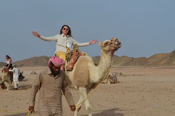 Sharm Super Desert Quad and Camel Ride with Bedouin Dinner - Image 2