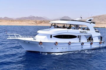 Dolphin House And Snorkeling Day Trip By VIP Boat - Image 2