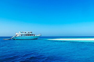 Dolphin House And Snorkeling Day Trip By VIP Boat - Image 3