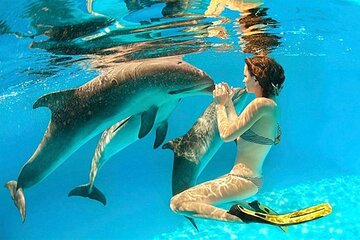 Snorkeling Day Trip With Dolphin at Sataya By VIP Boat - Image 1