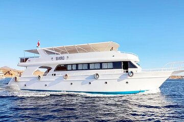 Snorkeling Day Trip With Dolphin at Sataya By VIP Boat - Image 2