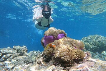 Blue Hole With Snorkelling and Canyon And Dahab City Day Tour - Image 4