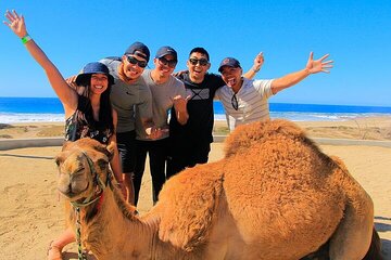 One Hour Camel Riding Adventure - Image 4
