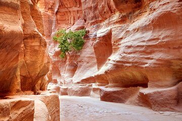 Petra Temple And Jordan full day Tour - Image 4