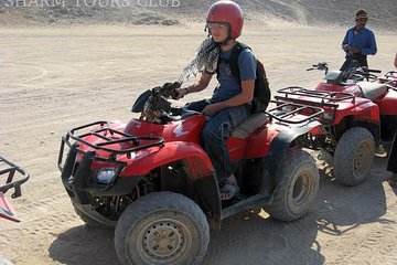 Desert Quad Bike, Bedouin Dinner Show, Camel Riding in Sharm el Sheikh - Image 3