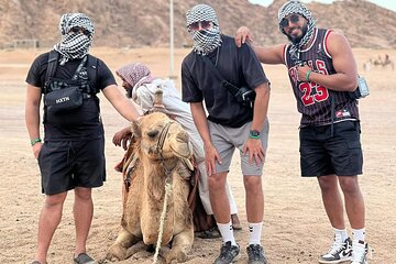 Safari 5 in 1 Quads, Camels, Show, Dinner & Star Gazing in Sharm El Sheikh - Image 1