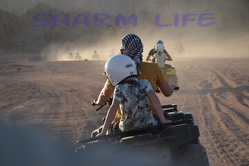 Safari 5 in 1 Quads, Camels, Show, Dinner & Star Gazing in Sharm El Sheikh - Image 2