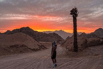 Safari 5 in 1 Quads, Camels, Show, Dinner & Star Gazing in Sharm El Sheikh - Image 4