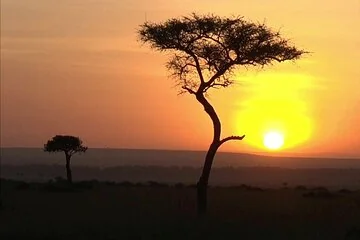 Morning Stargazing Sunrise and Quad Bike Safari - Image 4