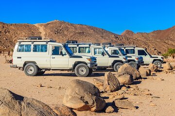 Private Tour Bedouin BBQ in the Egyptian Desert by 4x4 - Image 2