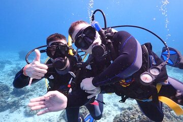 Two stops for amateur diving - Image 1