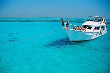 Snorkeling by Boat to Ras Mohamed and White island excursion in Sharm - Image 3
